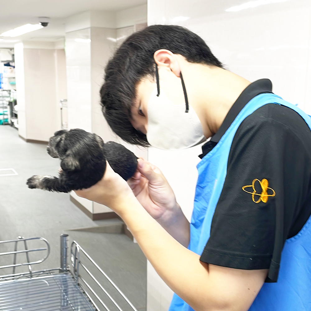 ２年生が子犬のお世話♪